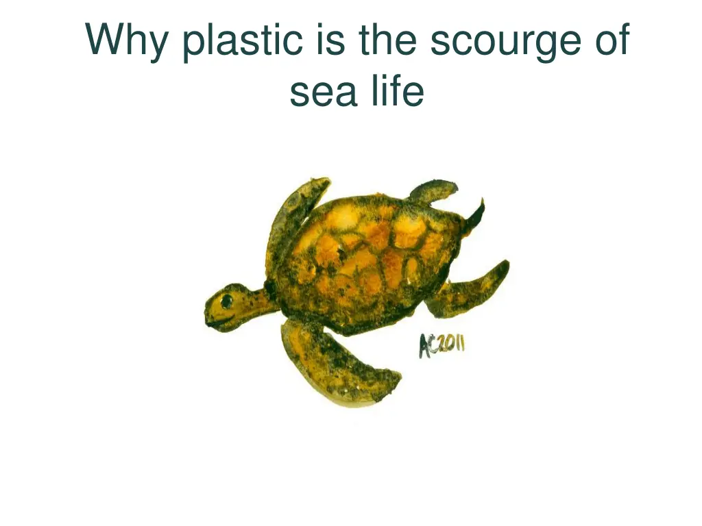 why plastic is the scourge of sea life