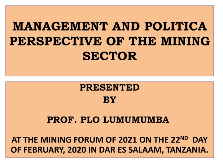 management and politica perspective of the mining