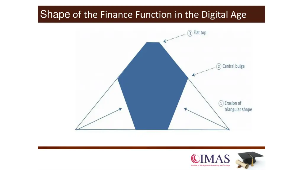 shape of the finance function in the digital age