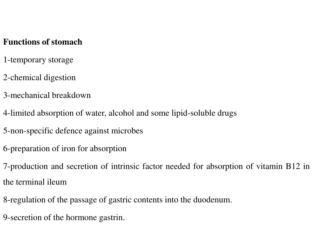 functions of stomach