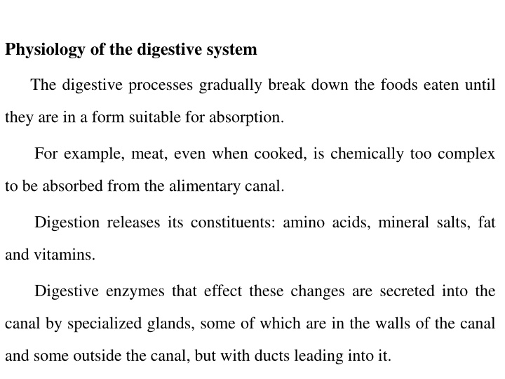 physiology of the digestive system