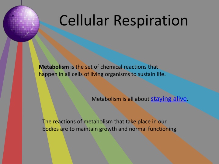 cellular respiration