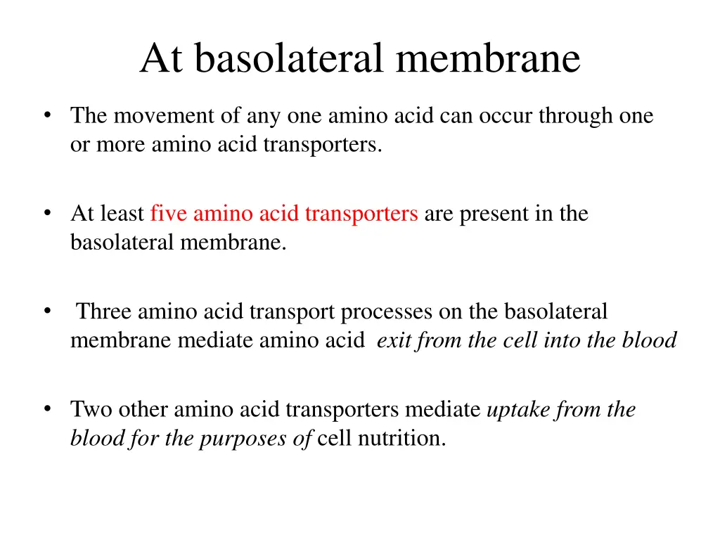 at basolateral membrane 1