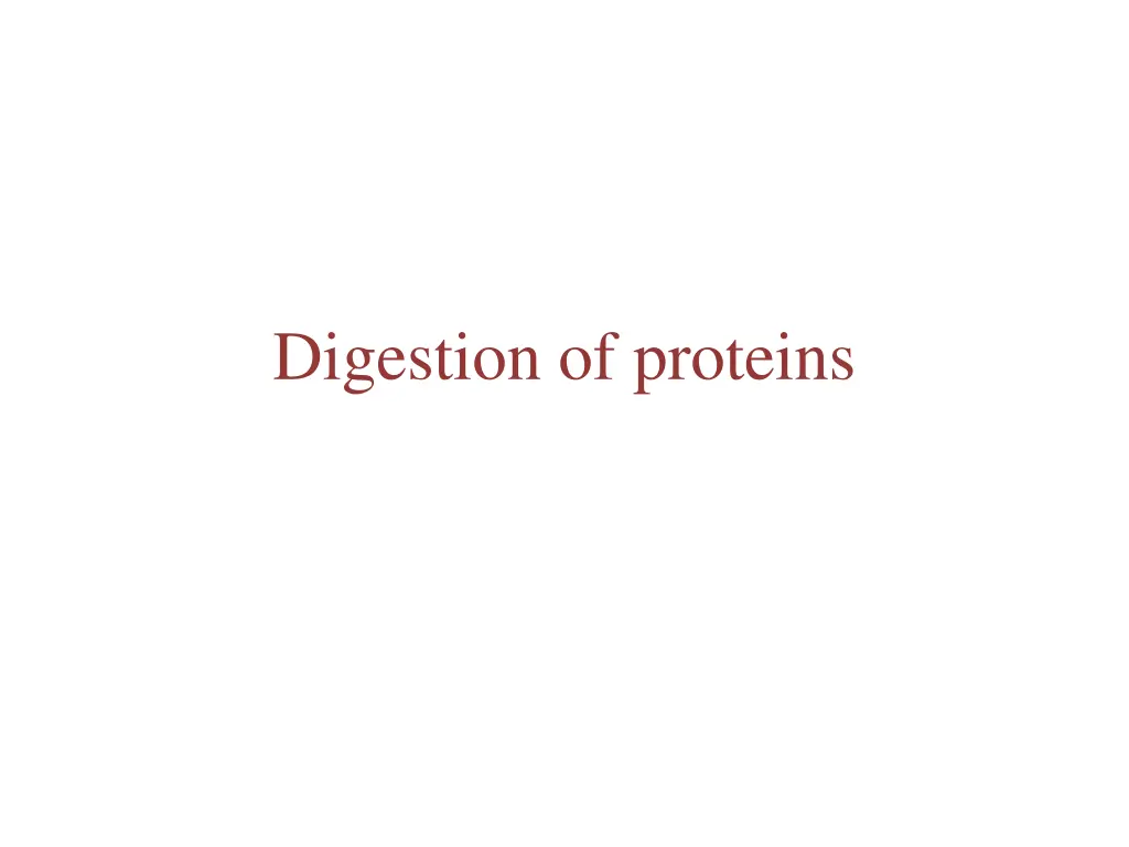 digestion of proteins