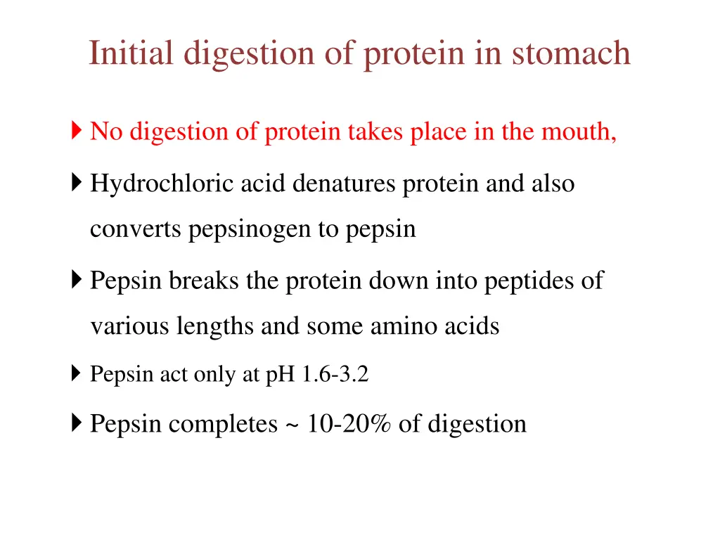 initial digestion of protein in stomach