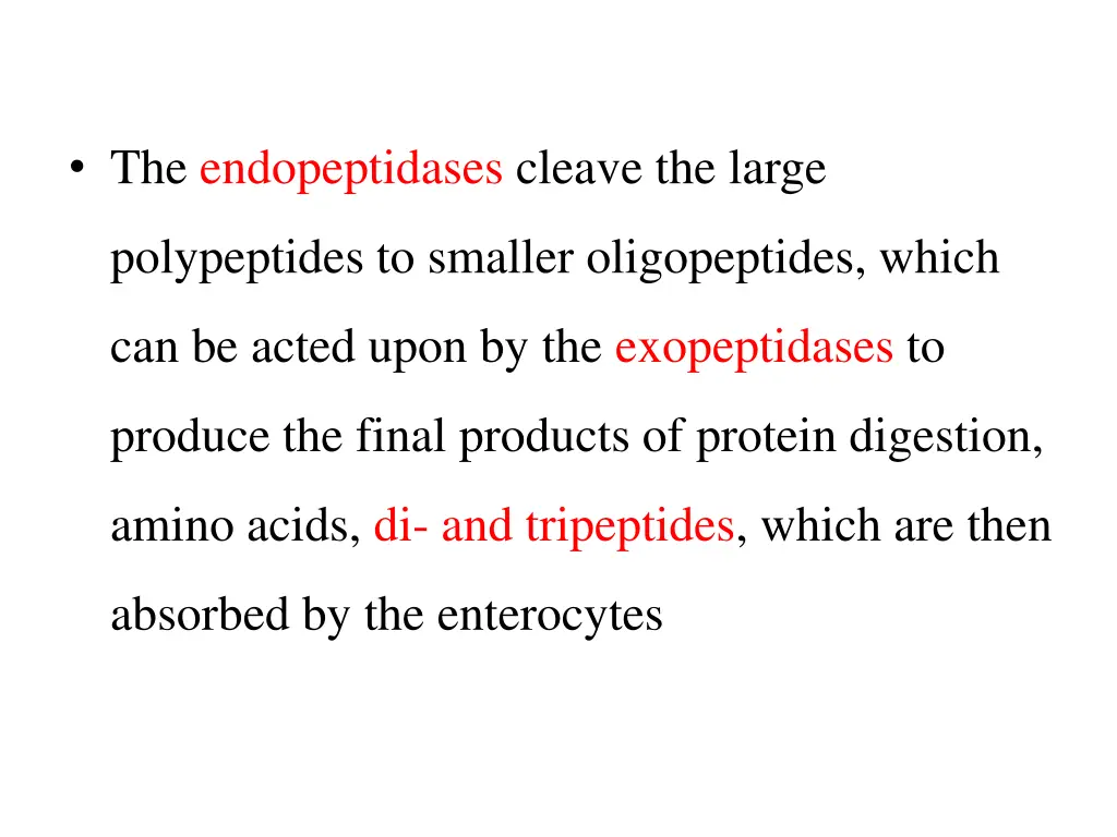 the endopeptidases cleave the large