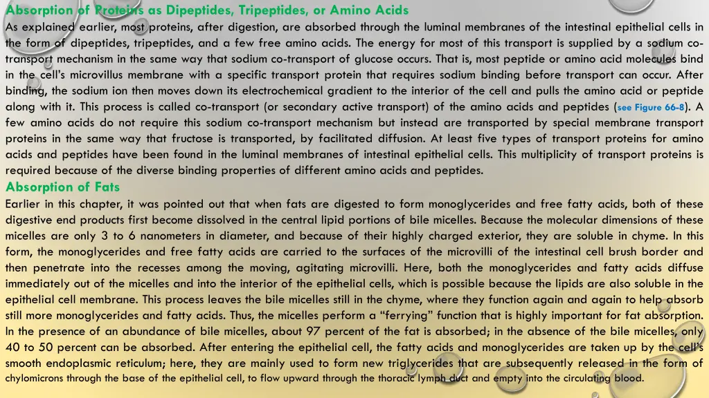 absorption of proteins as dipeptides tripeptides