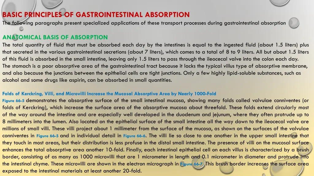 basic principles of gastrointestinal absorption