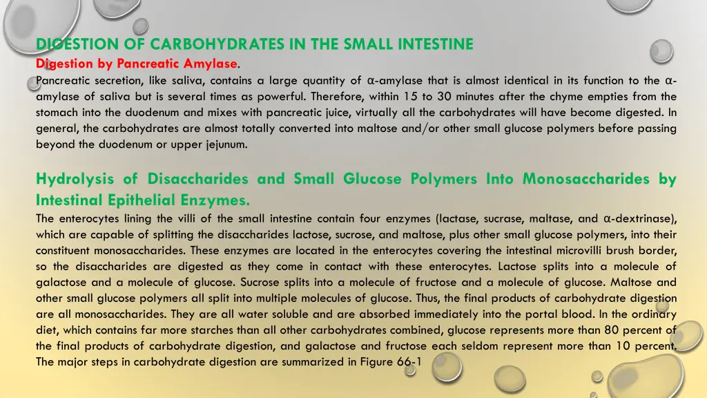 digestion of carbohydrates in the small intestine