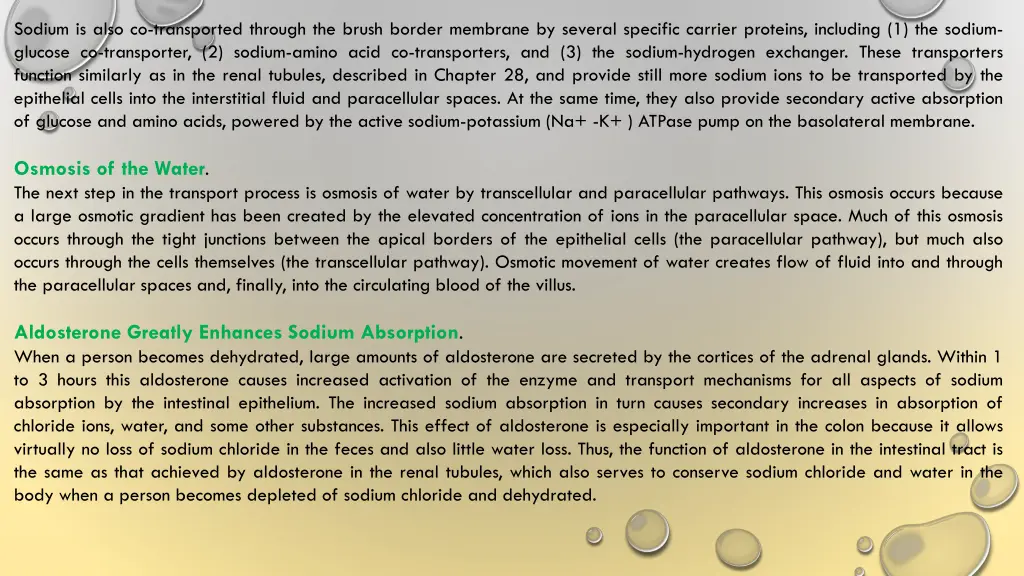 sodium is also co transported through the brush