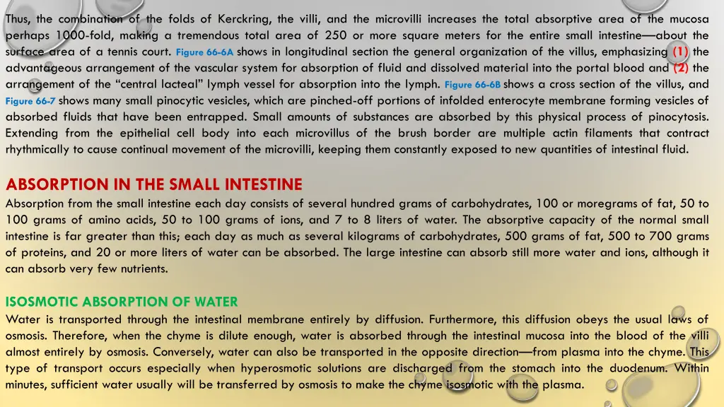 thus the combination of the folds of kerckring