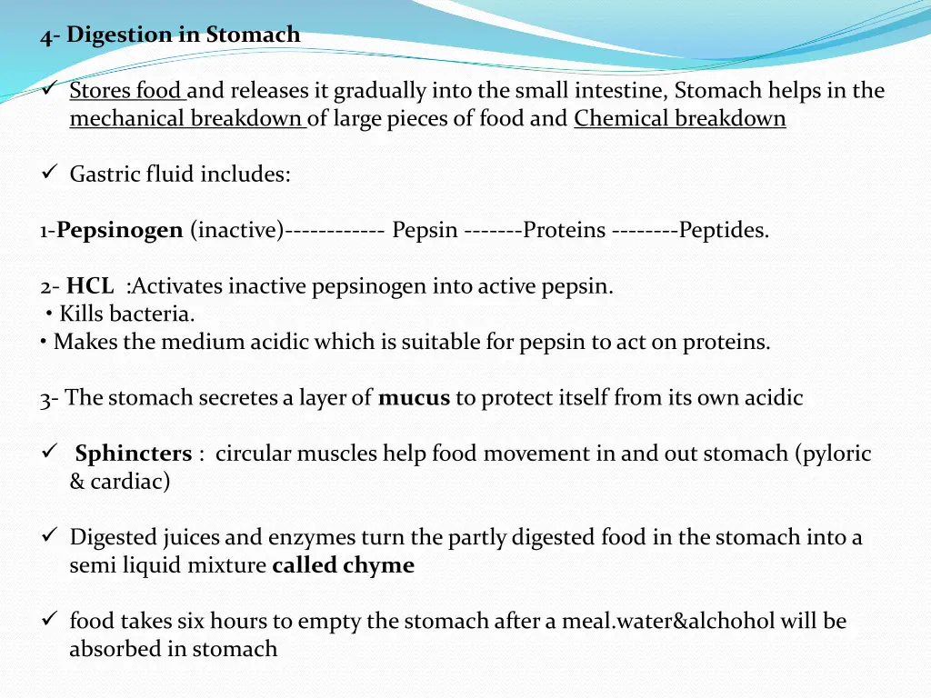 4 digestion in stomach