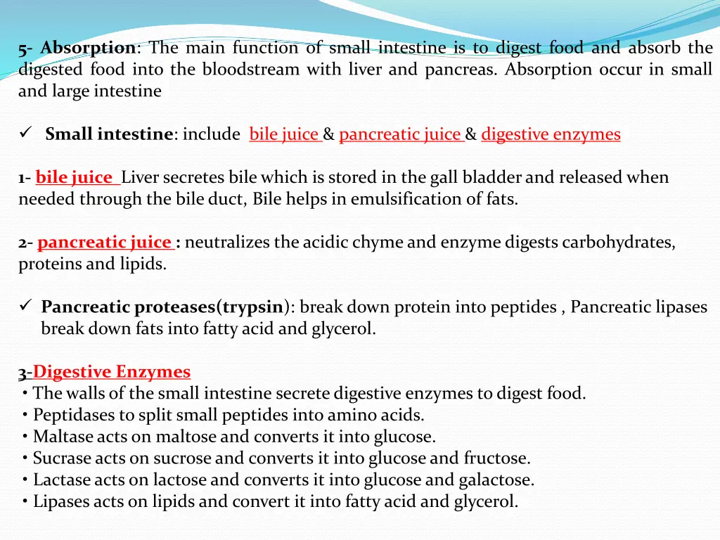 5 absorption the main function of small intestine