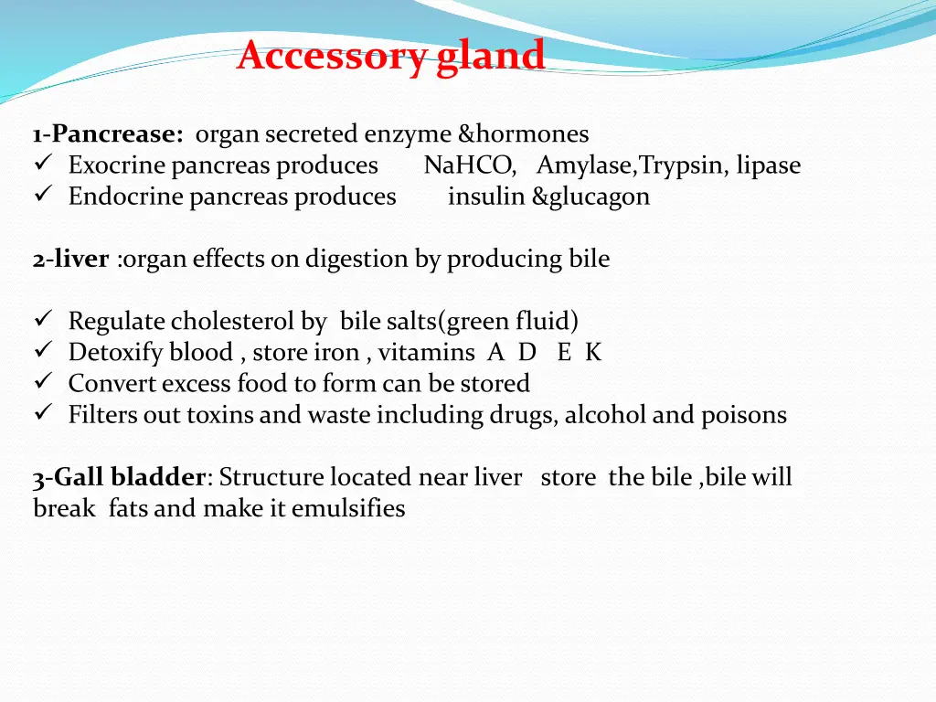 accessory gland