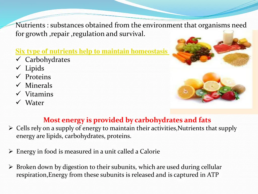 nutrients substances obtained from