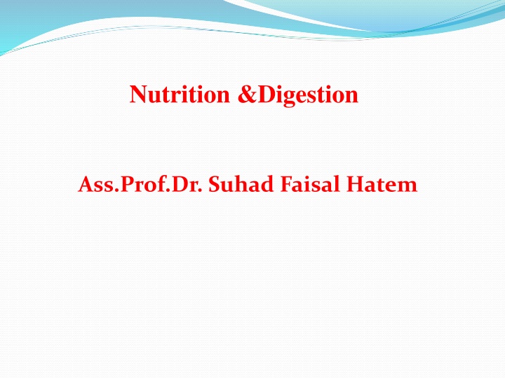 nutrition digestion