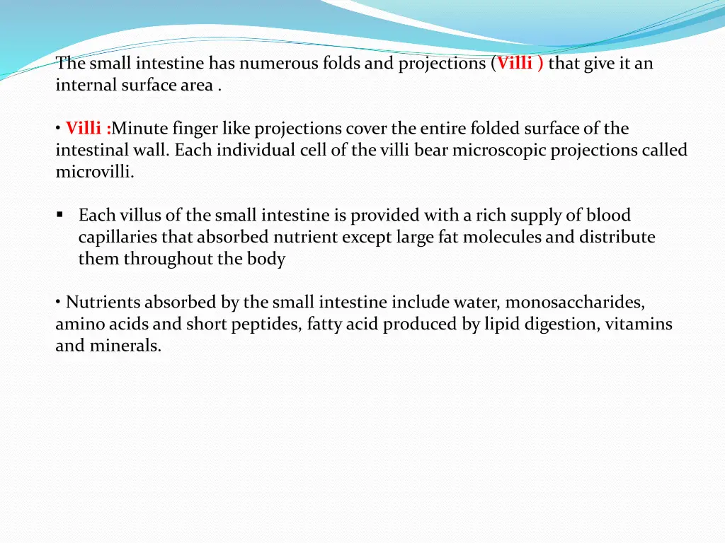 the small intestine has numerous folds