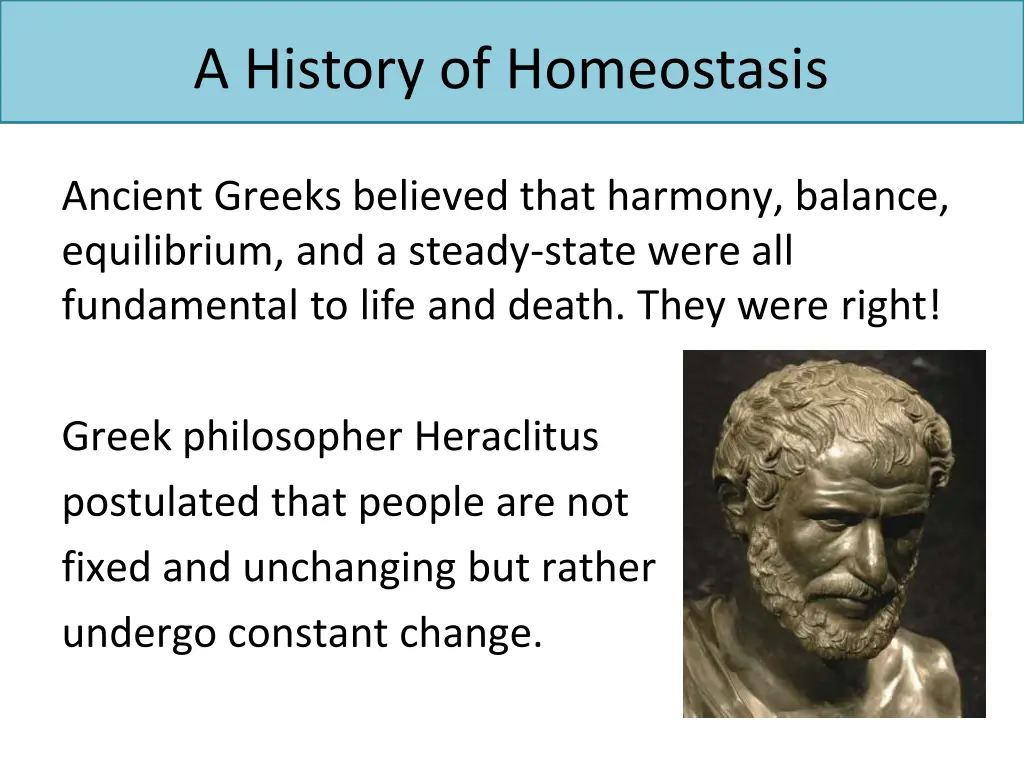 a history of homeostasis