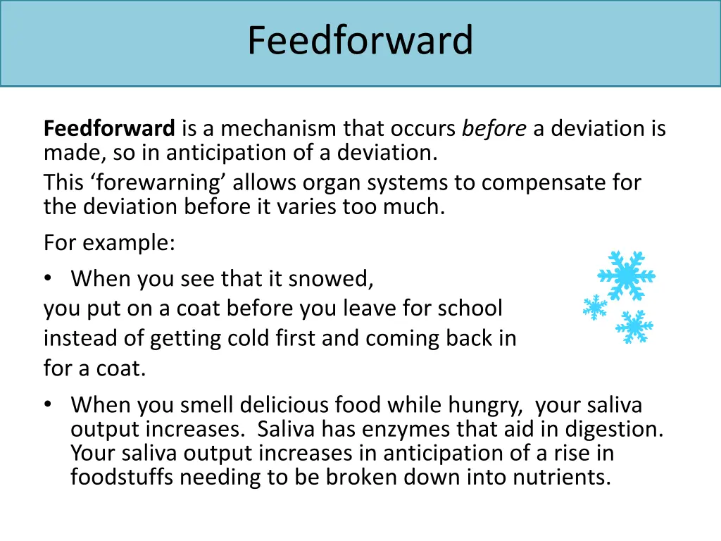 feedforward