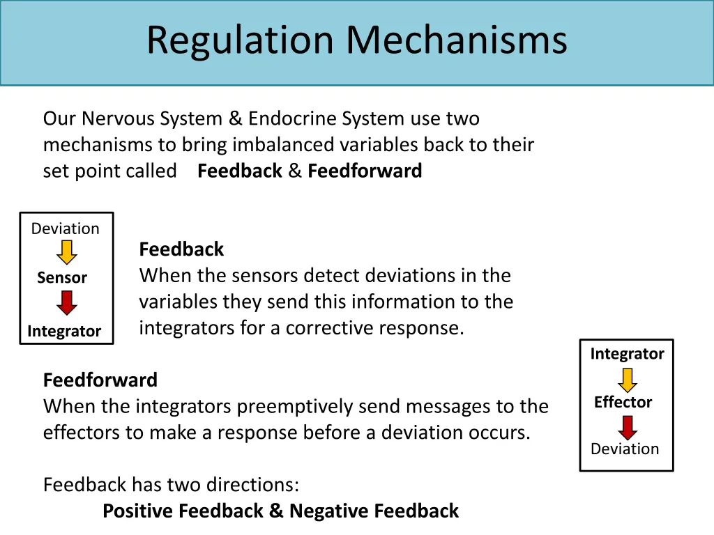 regulation mechanisms