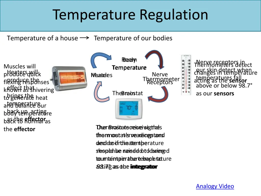 temperature regulation