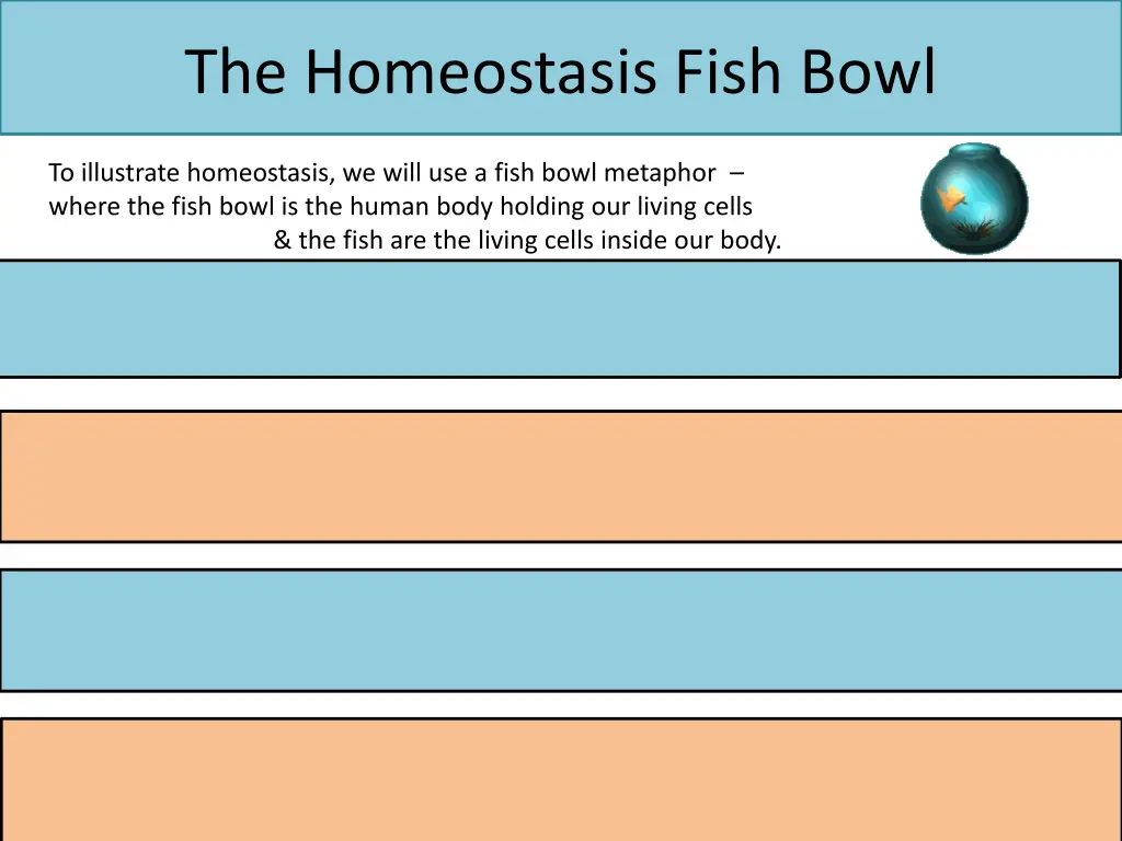 the homeostasis fish bowl