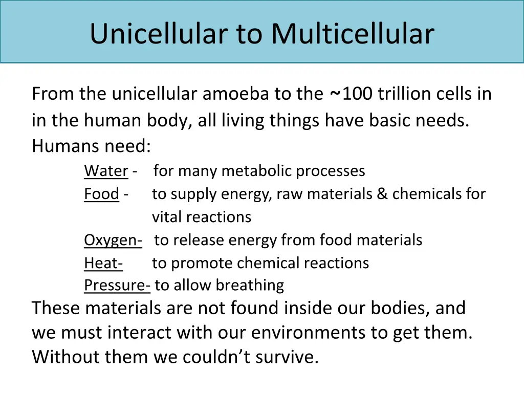 unicellular to multicellular