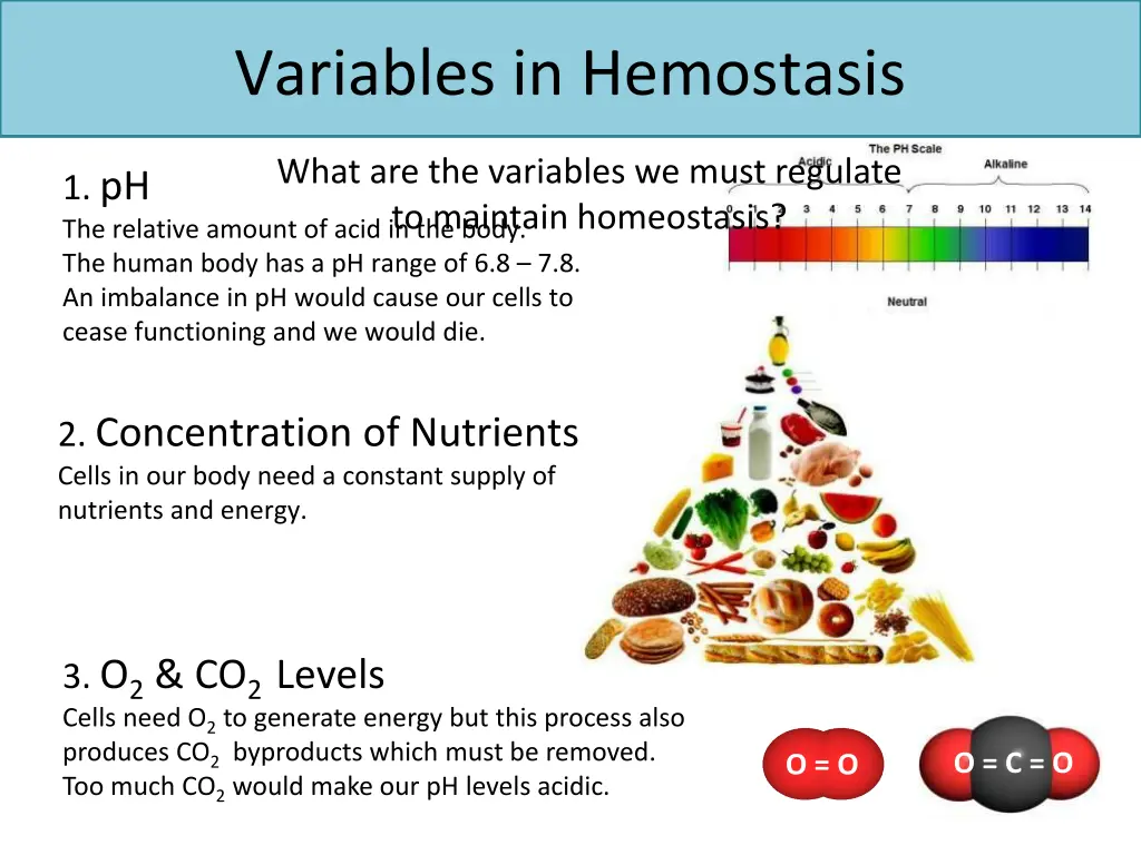 variables in hemostasis