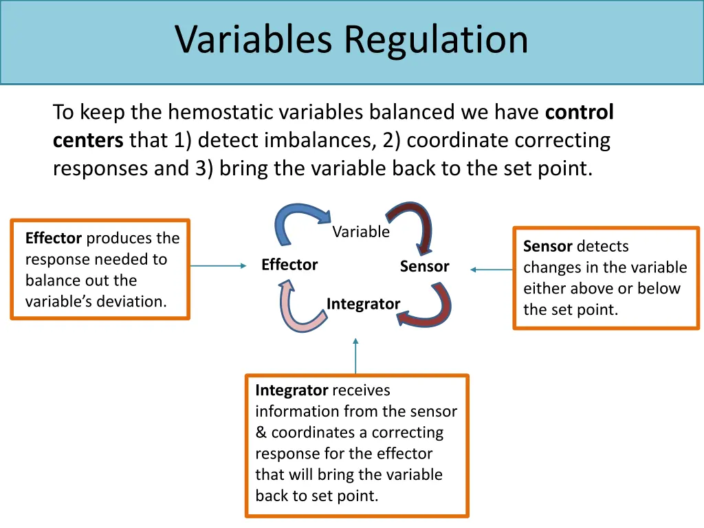 variables regulation