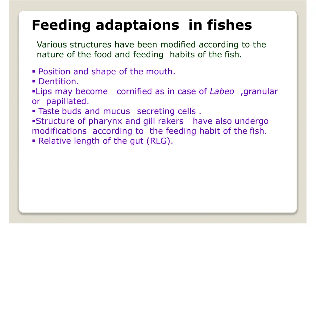 feeding adaptaions in fishes