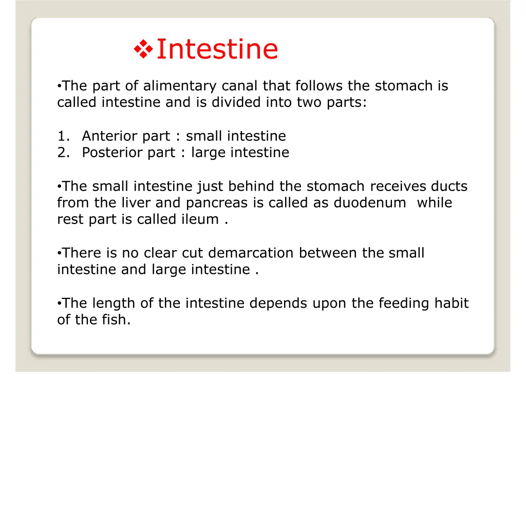 intestine