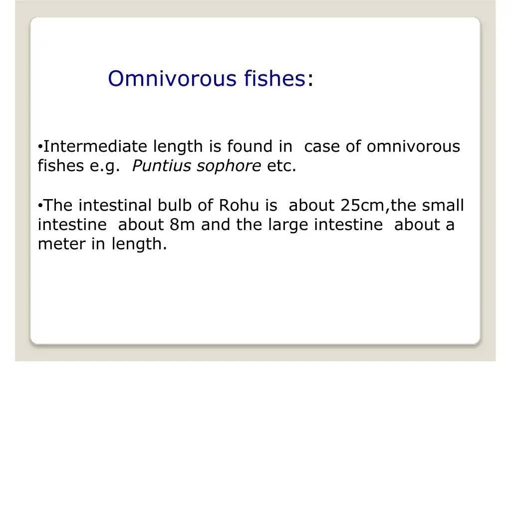 omnivorous fishes