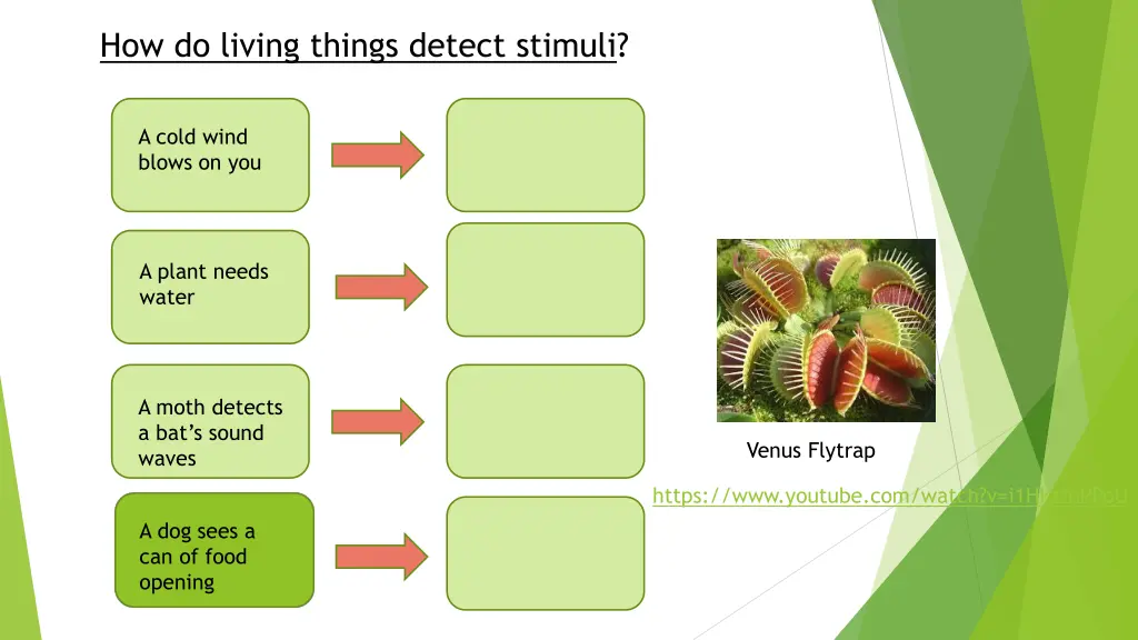 how do living things detect stimuli