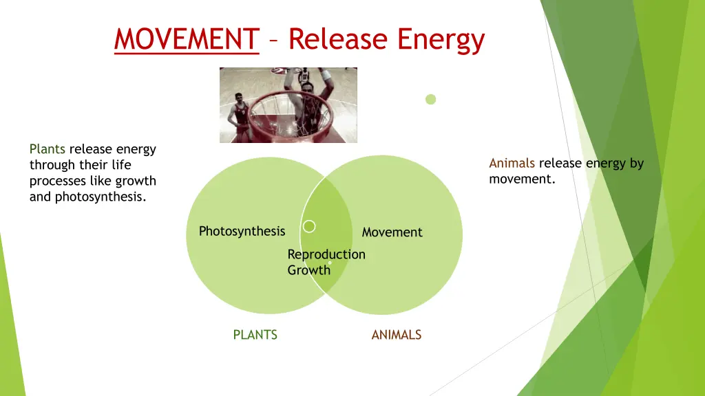 movement release energy