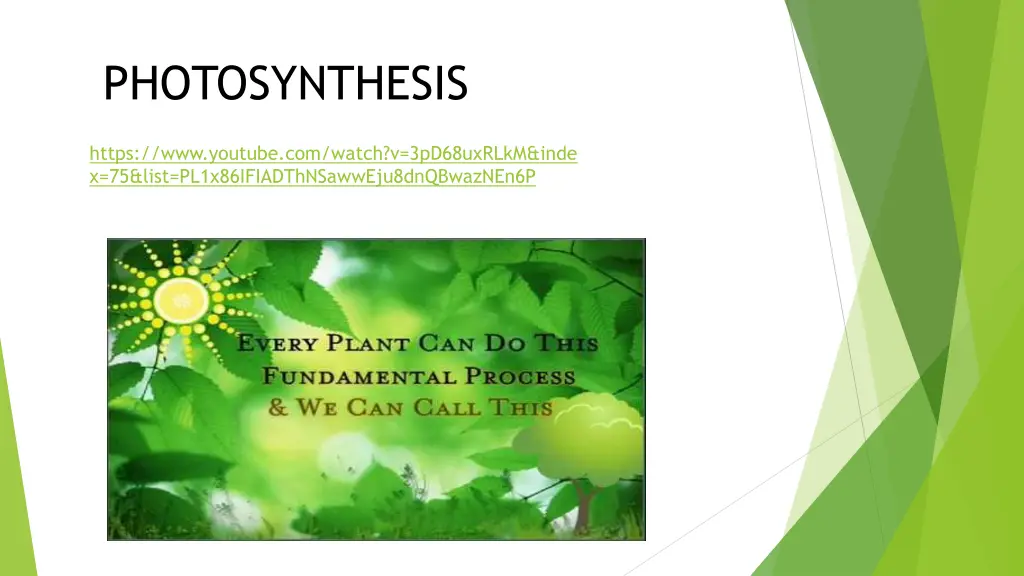 photosynthesis