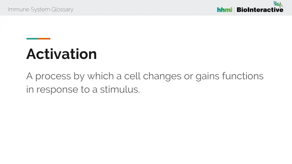 immune system glossary 1