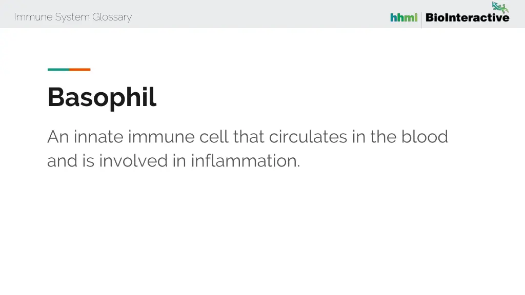 immune system glossary 10