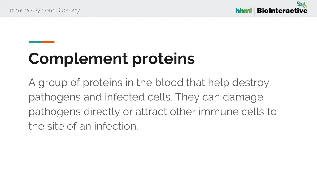 immune system glossary 15