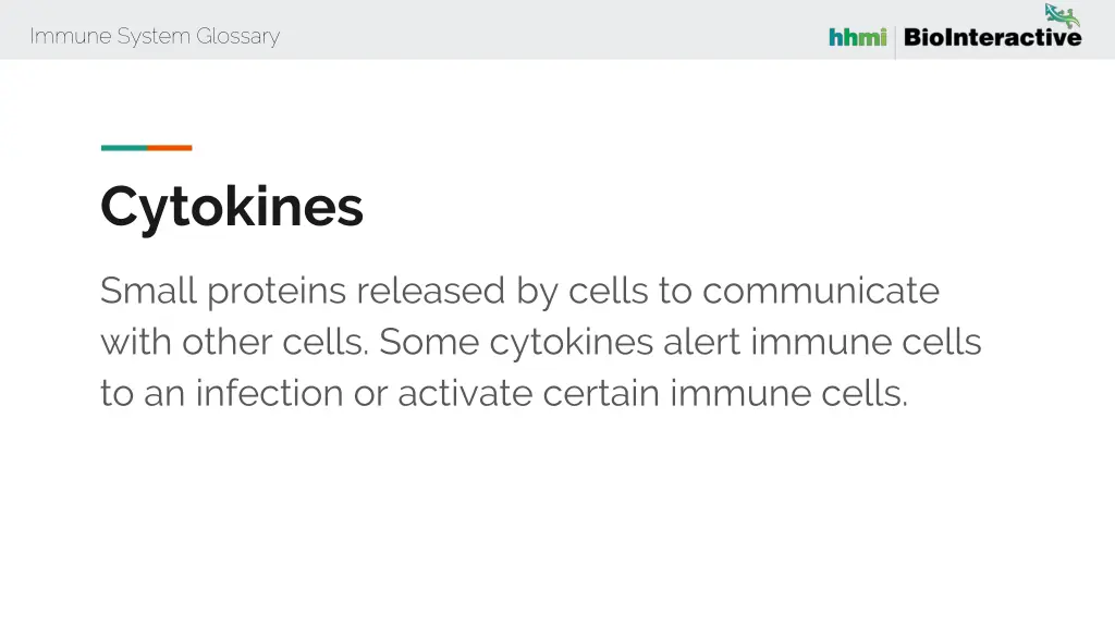 immune system glossary 16