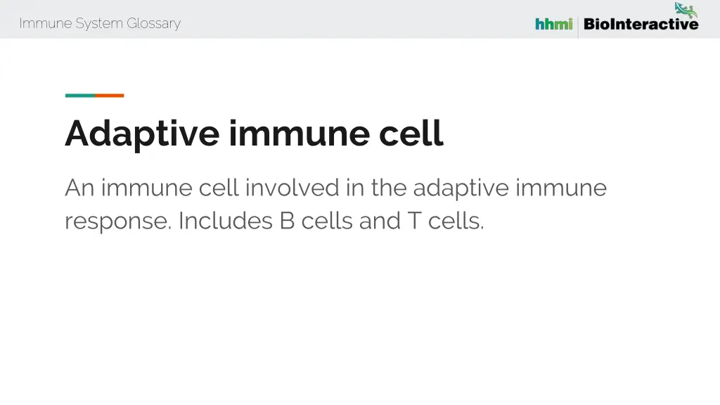 immune system glossary 2