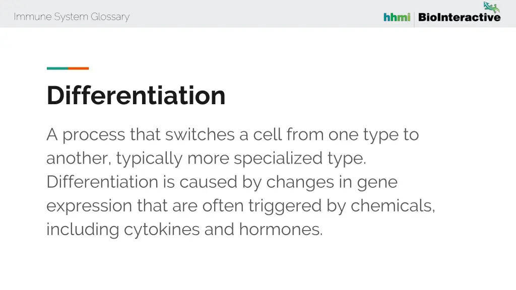 immune system glossary 20