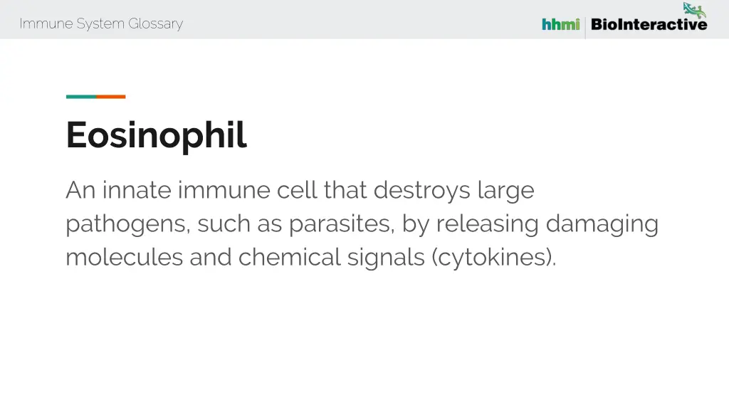 immune system glossary 22