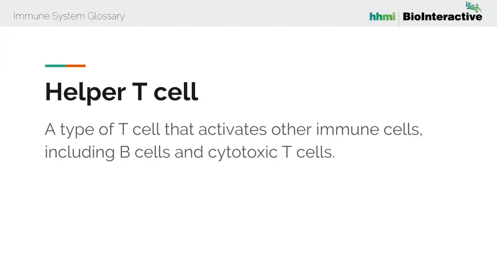 immune system glossary 23