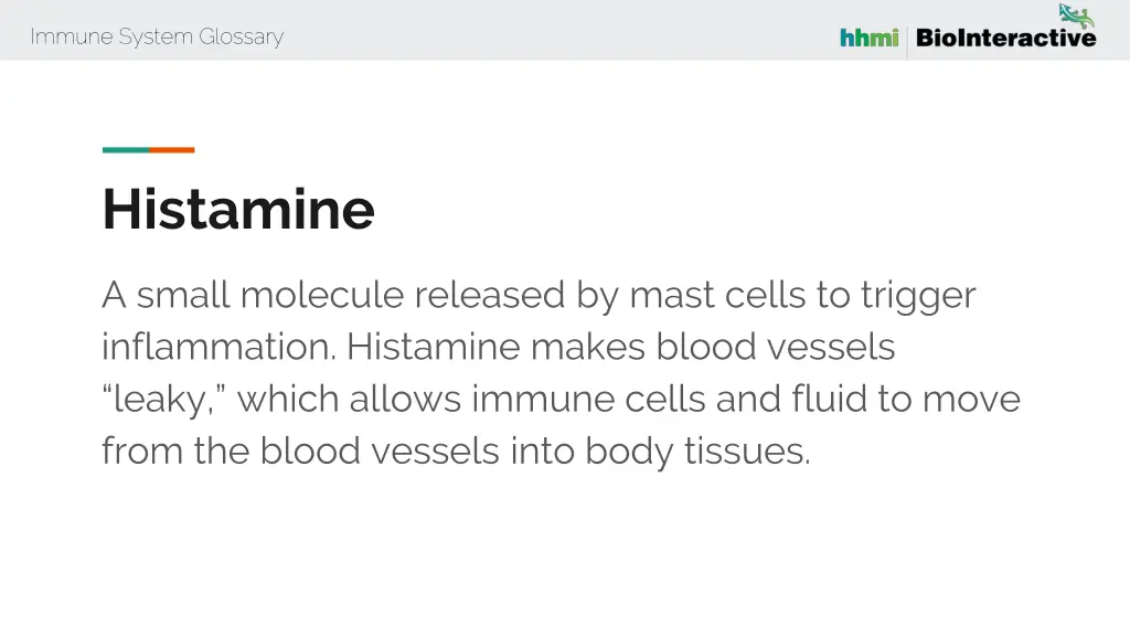 immune system glossary 24