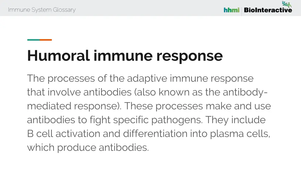 immune system glossary 25