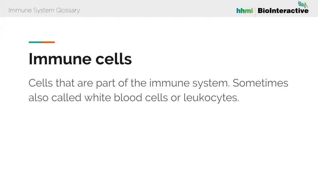 immune system glossary 26