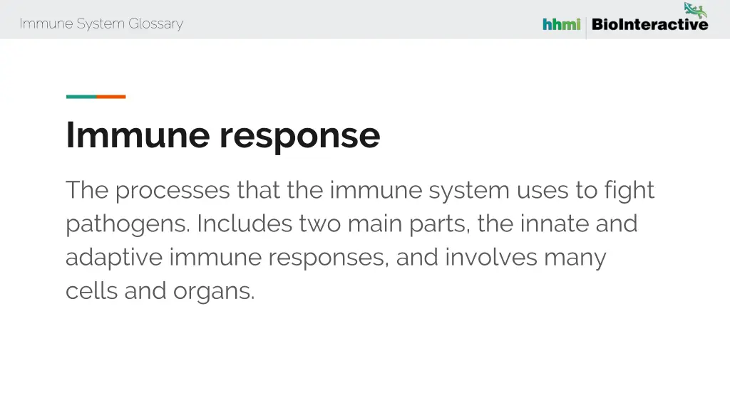 immune system glossary 27