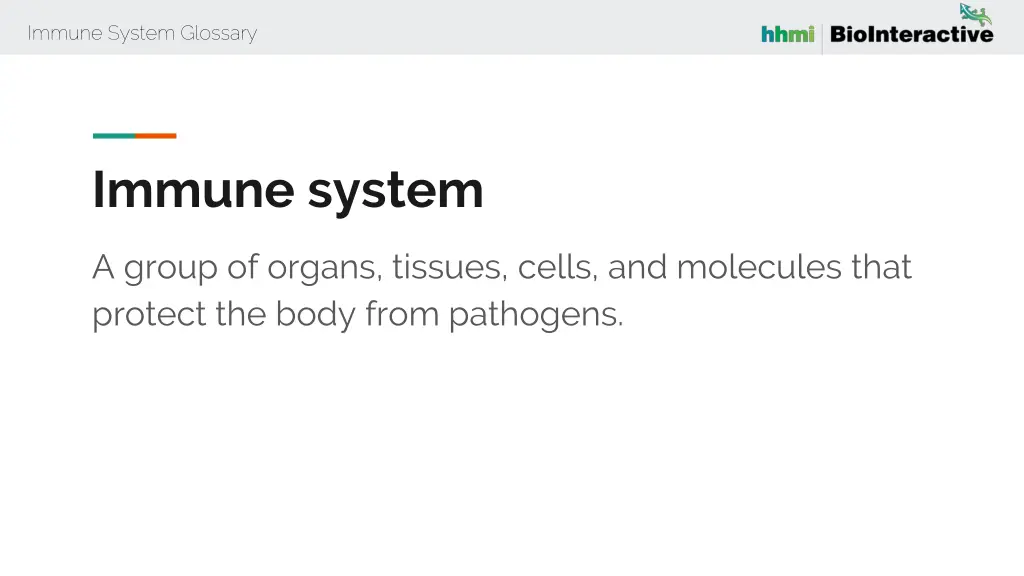 immune system glossary 28