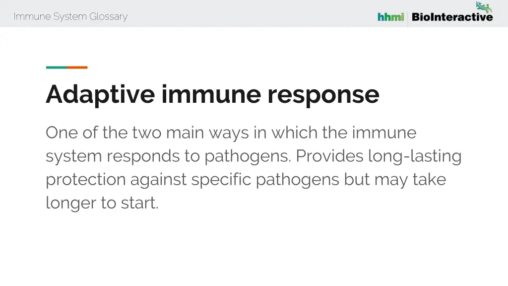 immune system glossary 3