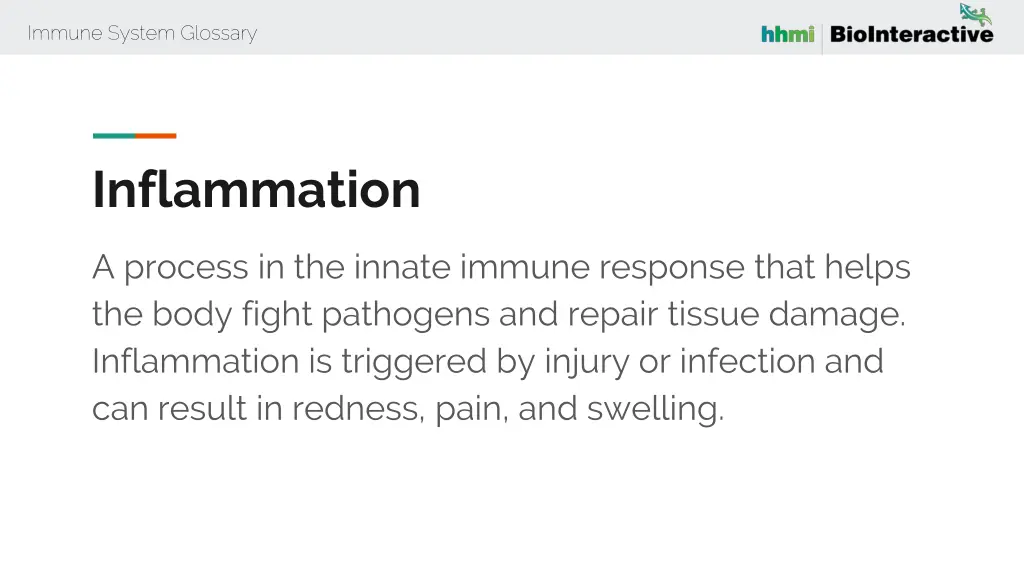 immune system glossary 30